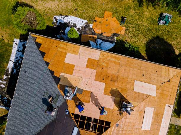 Best Storm Damage Roof Repair  in Knox, PA