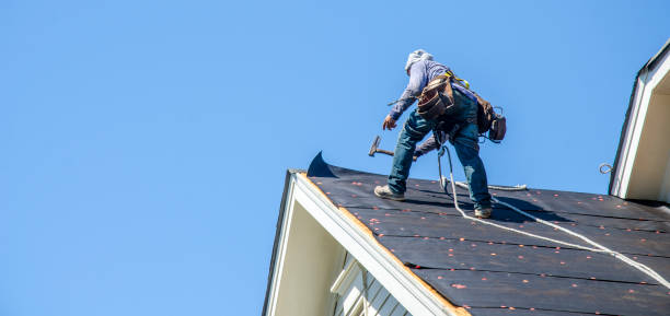 Best Flat Roof Repair Services  in Knox, PA